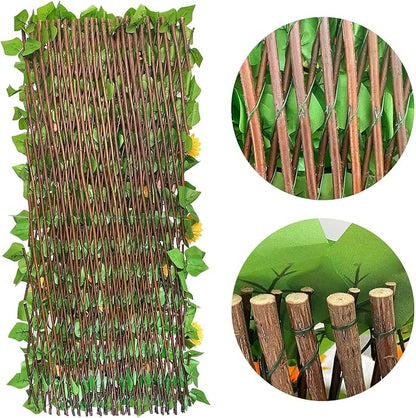 🌿Special price $36.99🌿, limited stock