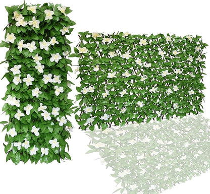 🌿Special price $36.99🌿, limited stock