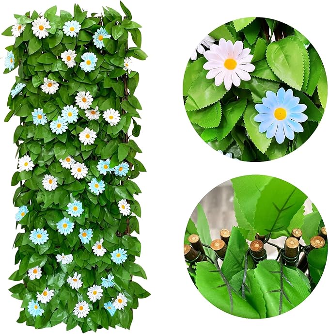 🌿Special price $36.99🌿, limited stock