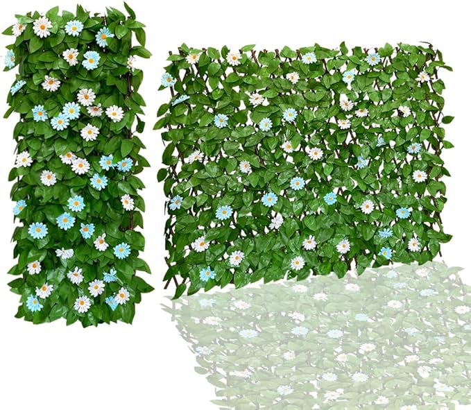 🌿Special price $36.99🌿, limited stock